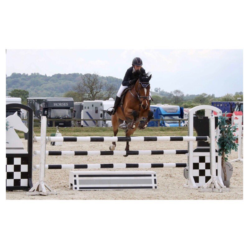 LauraReed26's tweet photo. 😍🚀🐴 https://t.co/VIHWV9Xpuj