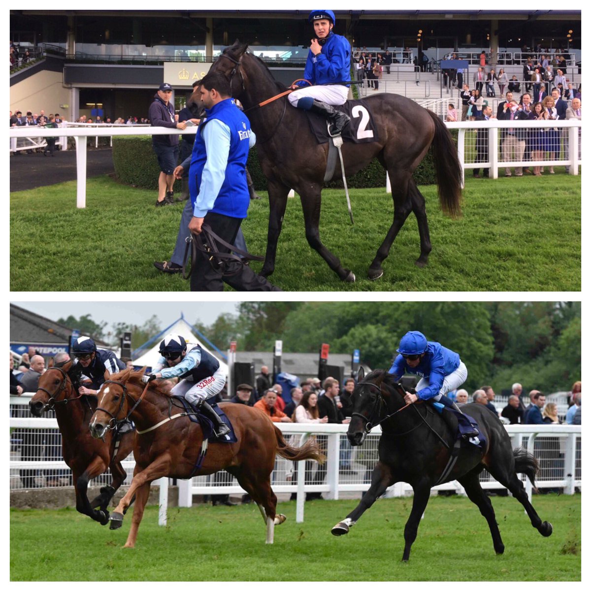 evferraro's tweet photo. 2 debut wins in England since Sat for 2017 @FasigTiptonCo Gulfstream 2YO Sale grads AQABAH & LAST VOYAGE for Godolphin Stables #quickreturns https://t.co/UIPO9QmBMs