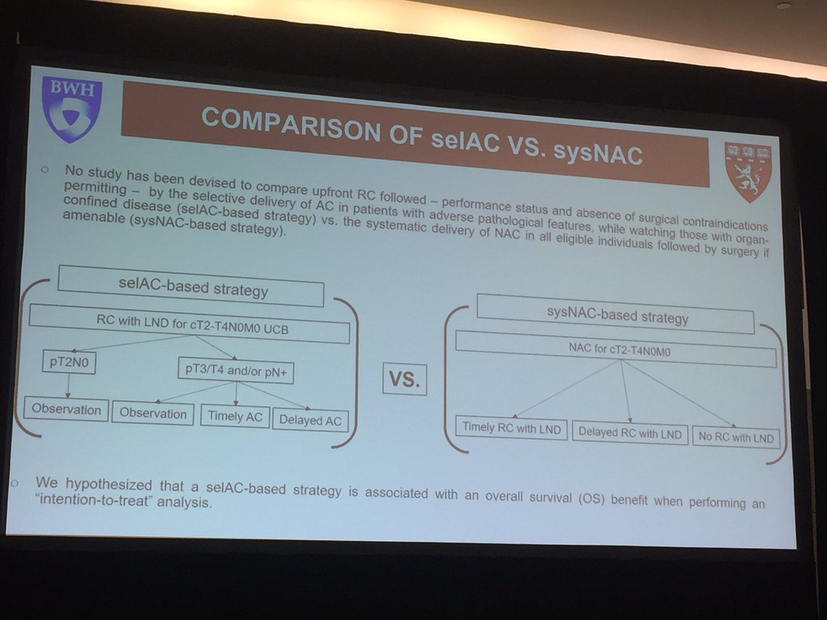 Malte W. Vetterlein tweet media