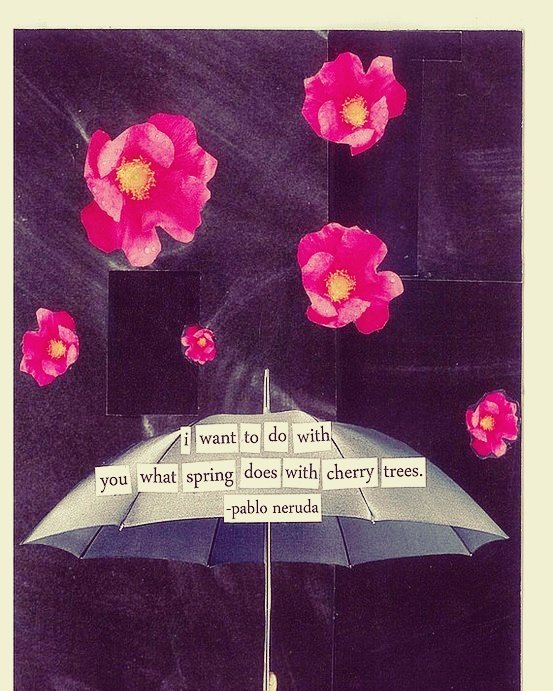 NanaChanIO's tweet photo. "Voglio fare con te ciò che la primavera fa con i ciliegi" #PabloNeruda 
🐶 15.05.2014 + 15.05.2017 🐱 #3years 
#anniversary #love #soulmate https://t.co/mhfcHVyws0