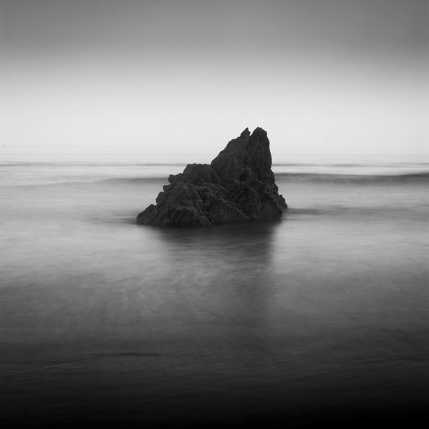 Wonwoo as nature (@wonwooasnature) on Twitter photo 