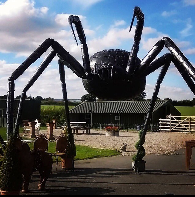 Stess2005's tweet photo. Don't worry they are more afraid of u https://t.co/9D8ywZycI5