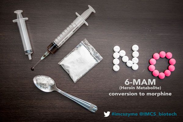 IMCS_biotech's tweet image. #CDC has recognized the growing #HeroinEpidemic #imcszyme does not convert 6-MAM to morphine during hydrolysis buff.ly/2r9hTC0