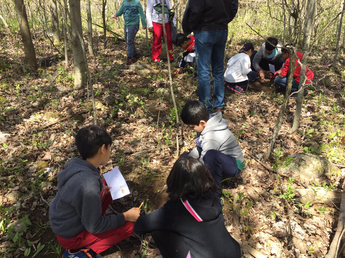 MsWilson3A's tweet photo. It was a beautiful day to learn about soils and plants @JackSmytheFC https://t.co/6mQ1f19L4b