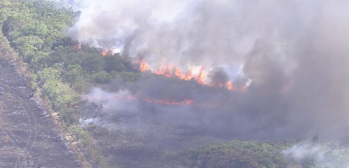 WATCH LIVE Brush fire burns 1,000 acres near Turkey Point bit.ly/2ql0AND https://t.co/6Ymzjp9HfV