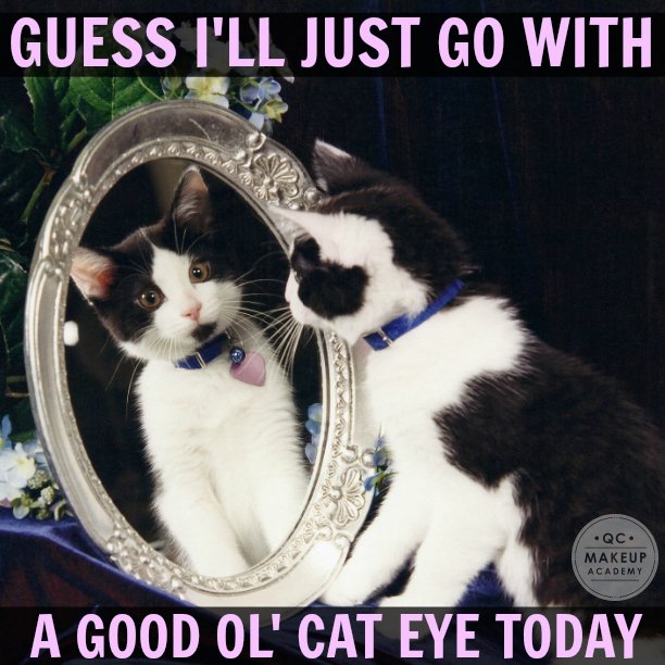 QCMakeupAcademy's tweet image. Today is a good day for a cat eye, don't you think? #QCMakeupAcademy #cateyemakeup #makeupmeme