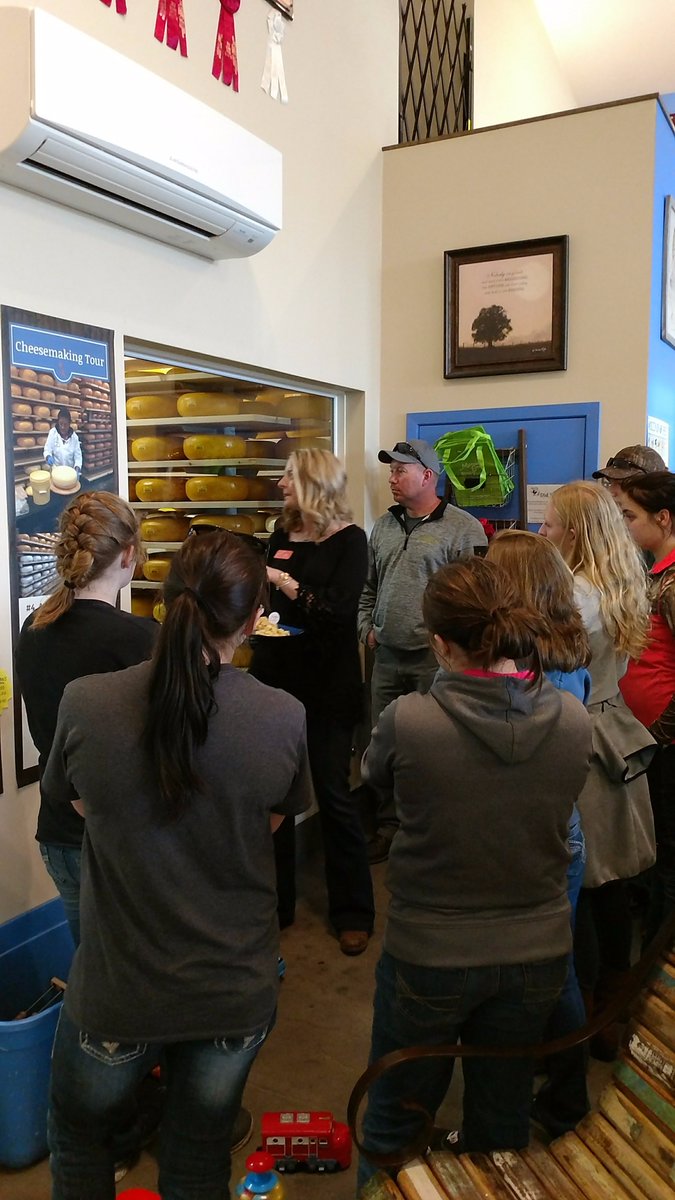 ChiHiAgscience's tweet photo. Thank you to Scientific Holsteins, Richard Geisler, Sandy Creek Dairy, &amp; Marieke Gouda for hosting #mightycardinals Animal Science students! https://t.co/yRQx8Uksmz