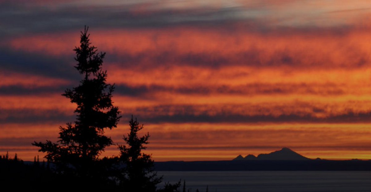 Hiking Project tweet media