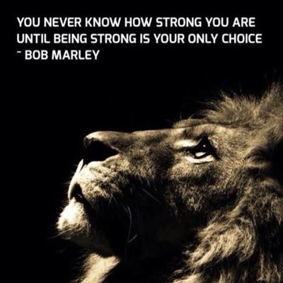 EllieWareham12's tweet photo. #NewProfilePic https://t.co/YwMSmnuCtg