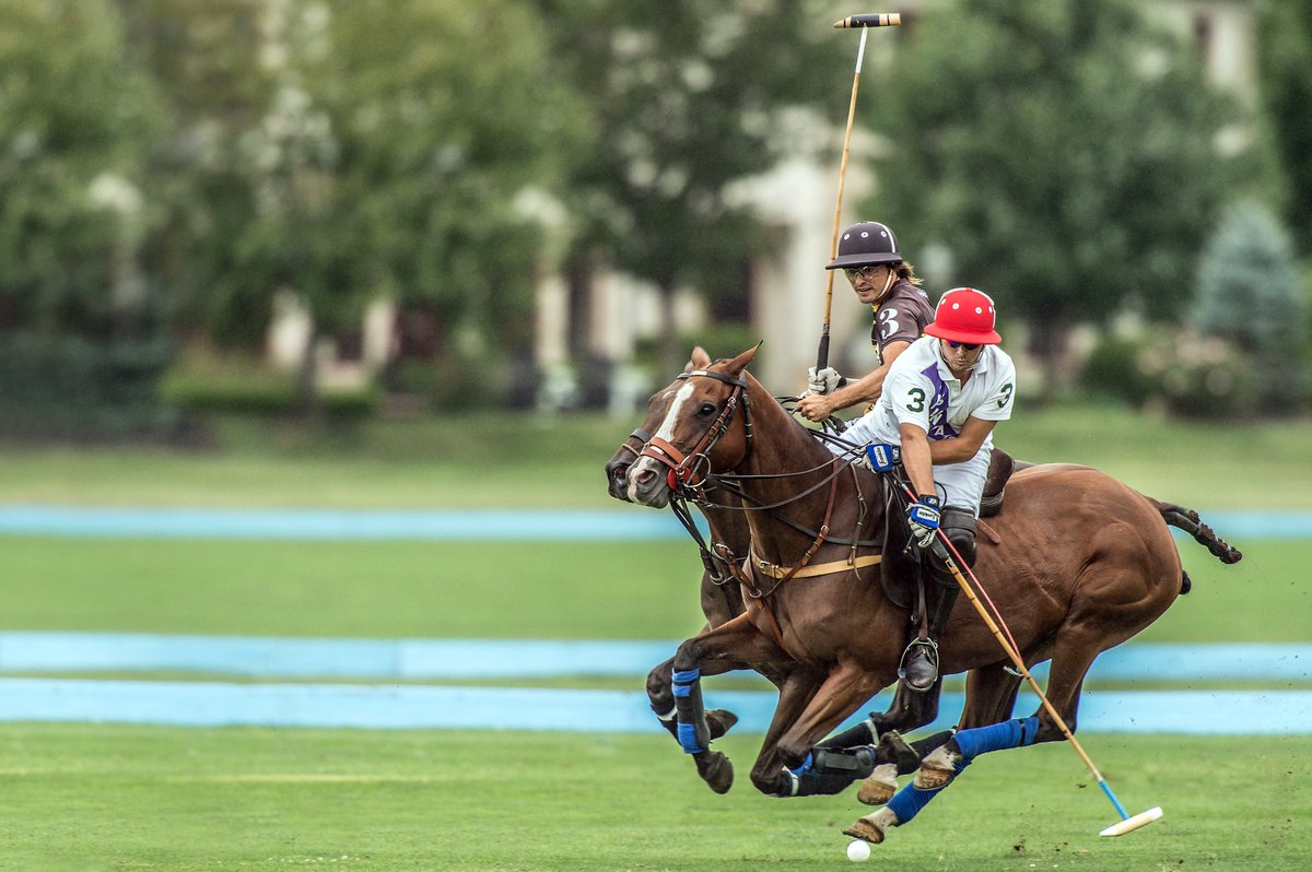 GreenwichPolo's tweet photo. Santi Torres with a #nearsideforehand - a shot taken from the left side of the pony - with Iñaki Laprida on his side. https://t.co/QX31oKB1ZQ