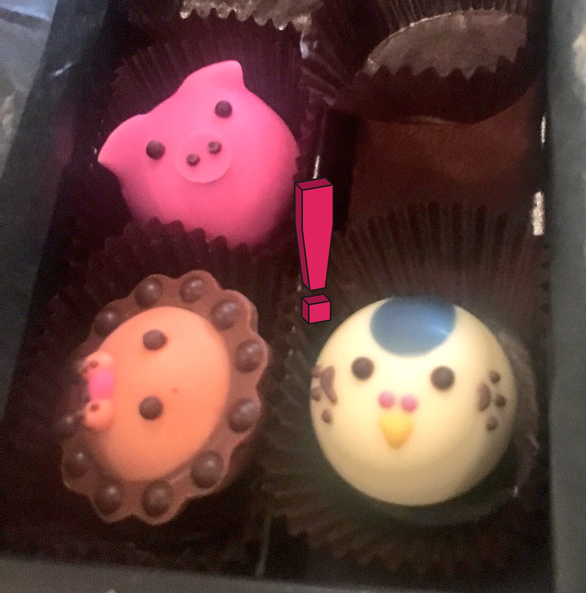 Sera Gamble tweet media