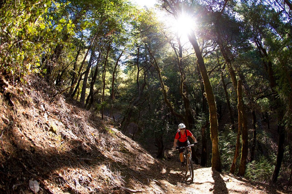 PC_Marriott's tweet photo. Elevate your stay with our seasonal #mtbiking packages. Click below for more details!
 https://t.co/uAI5H75NXl https://t.co/tAYFiUU27J