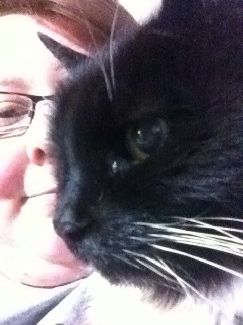 Had to have my cat put down. R.I.P Pingu, i love you and miss you