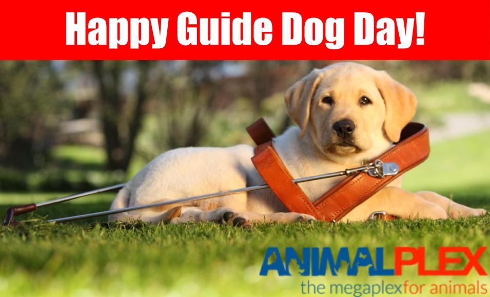 animalplex's tweet photo. https://t.co/8Bgr6lqfQR https://t.co/d9mEsVAiqv