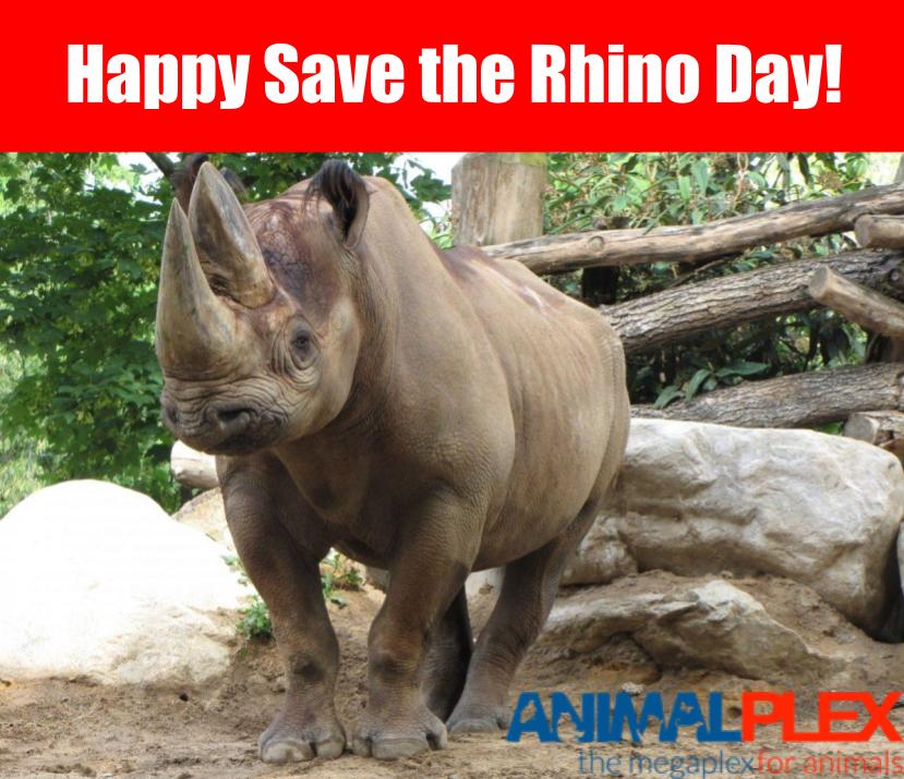 animalplex's tweet photo. https://t.co/jd1bjrNmtS https://t.co/M5usN1GbE3