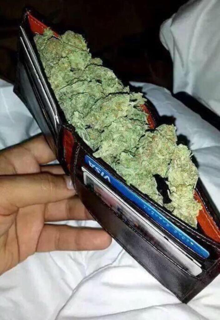 HerbStateOfMind's tweet photo. That's where all the money goes🍁 https://t.co/x5m2Pcke3j