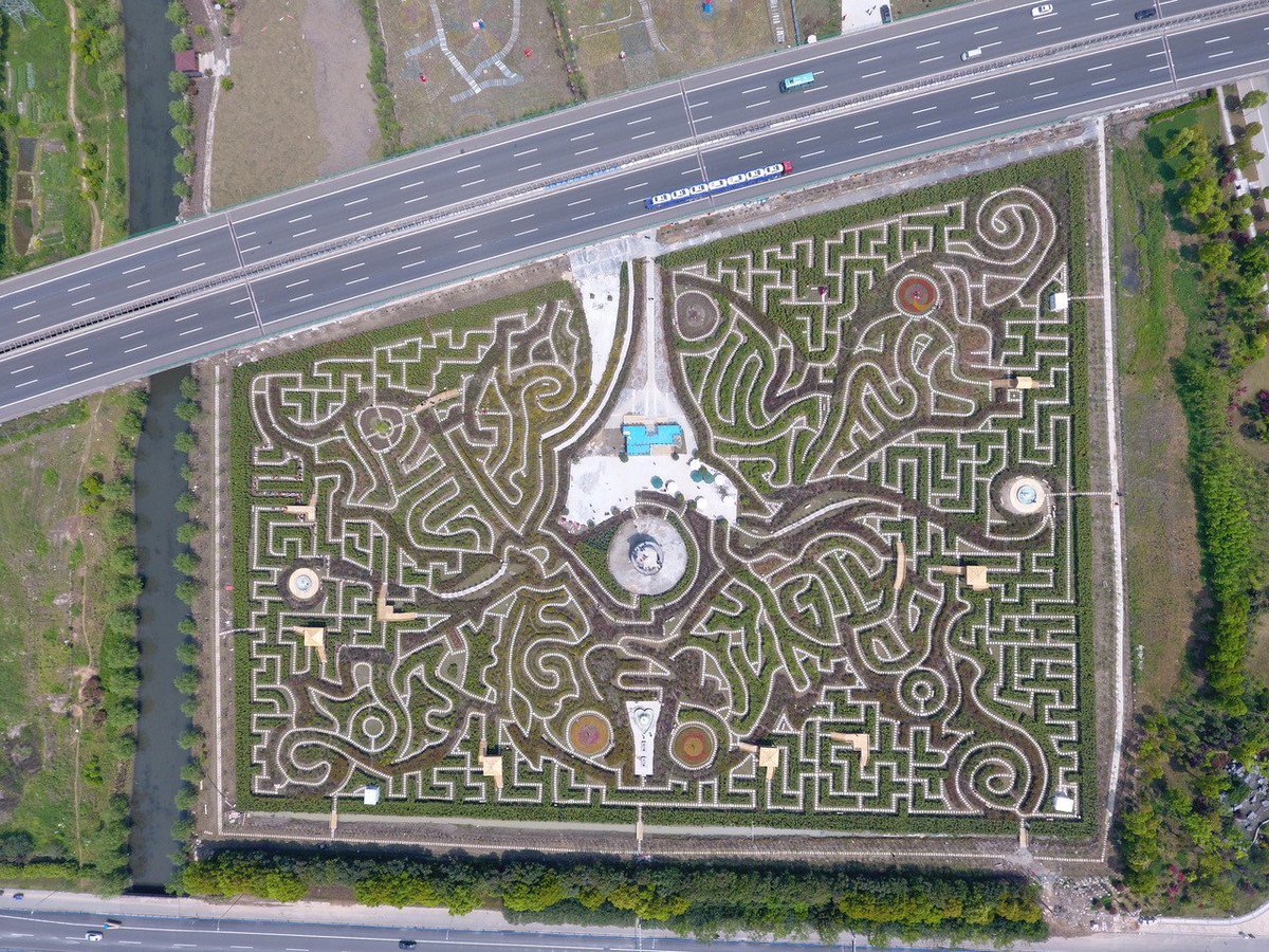 Bournemouthecho's tweet photo. PICTURES: World's biggest hedge maze is created by Dorset company https://t.co/dhPqKIdrnd https://t.co/AGLXnnw0Z2