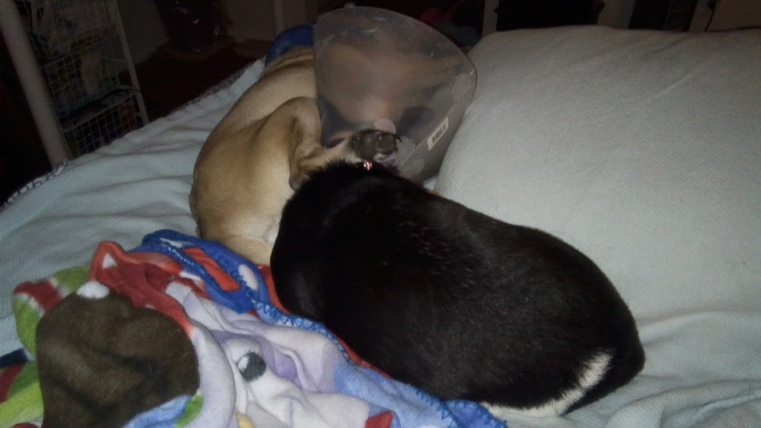 cozysweetsj's tweet photo. OK, this is not what it looks like #tcfp #bros #notwhatuthink https://t.co/cDIiTWDz5e