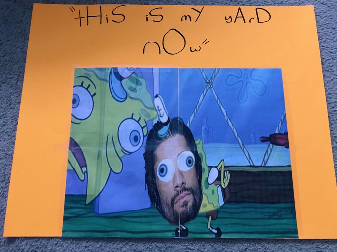 View image on Twitter