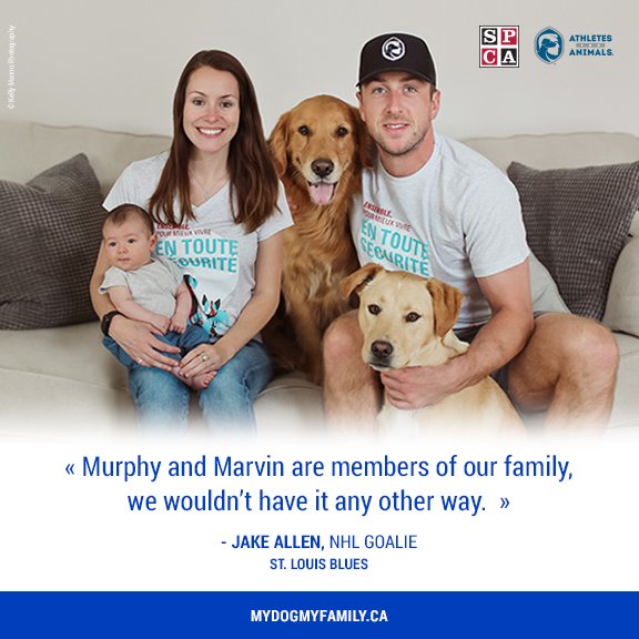 SPCAMontreal's tweet image. "We stand united against breed bans in Quebec. Join us at mydogmyfamily.ca" Jake Allen, NHL goalie for the St. Louis Blues