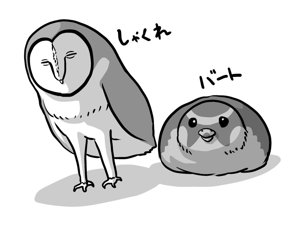2羽のお名前です 