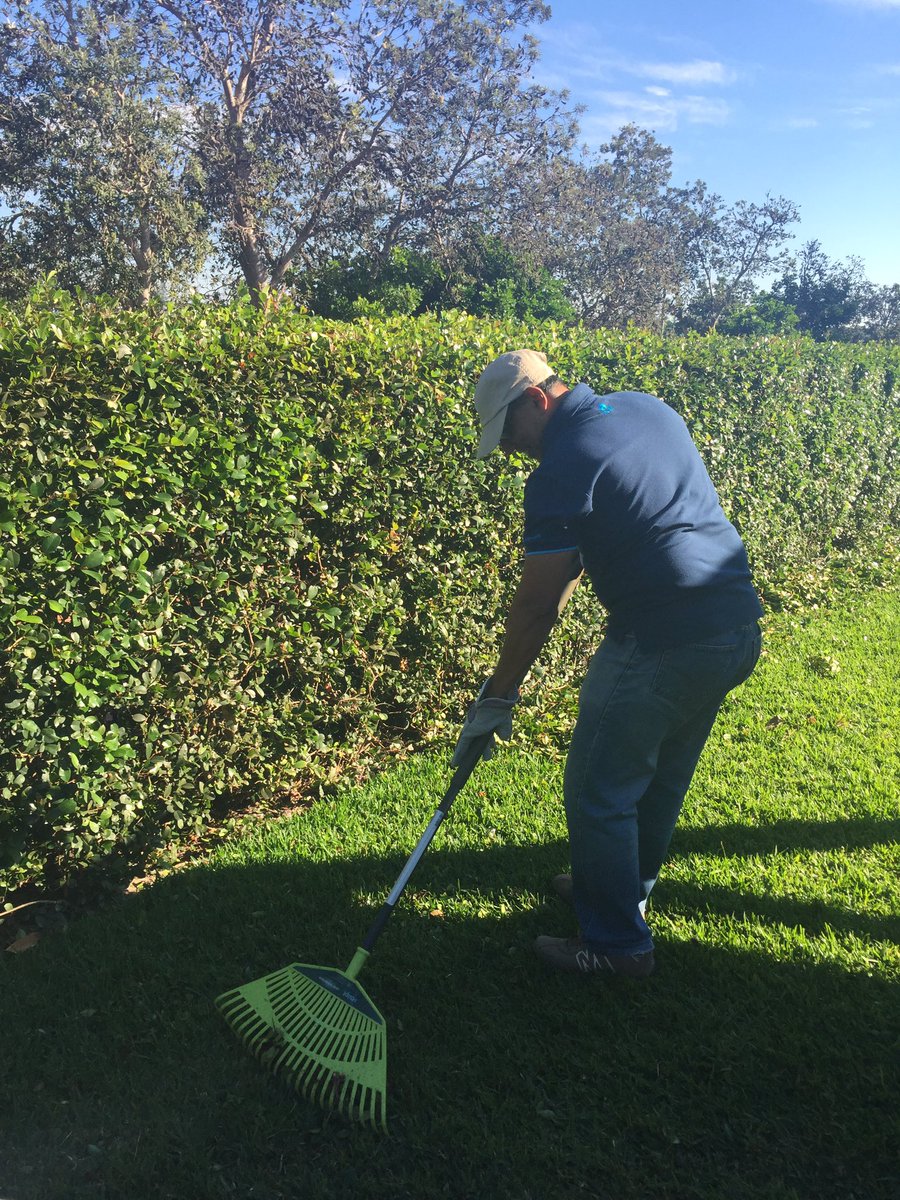 Sharlini Achchuthan tweet media