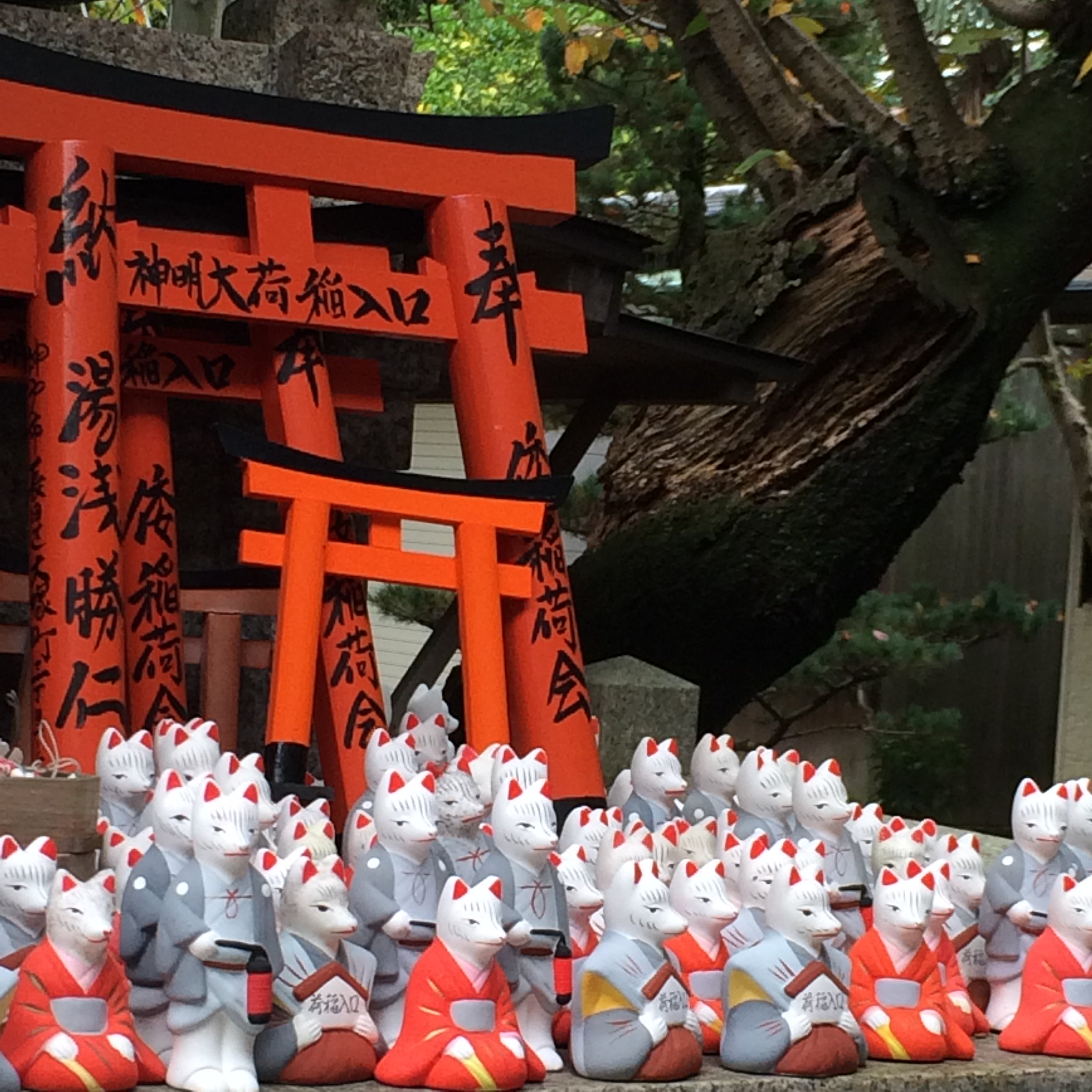遨游大师在twitter 上 关于狐仙 日本专门有一种信仰 叫做稻荷信仰 所崇拜的神灵就是 稻荷 也就是狐 仙 大多数的小型神社中 都会供有稻荷的神龛 有些甚至还有狸猫的神龛