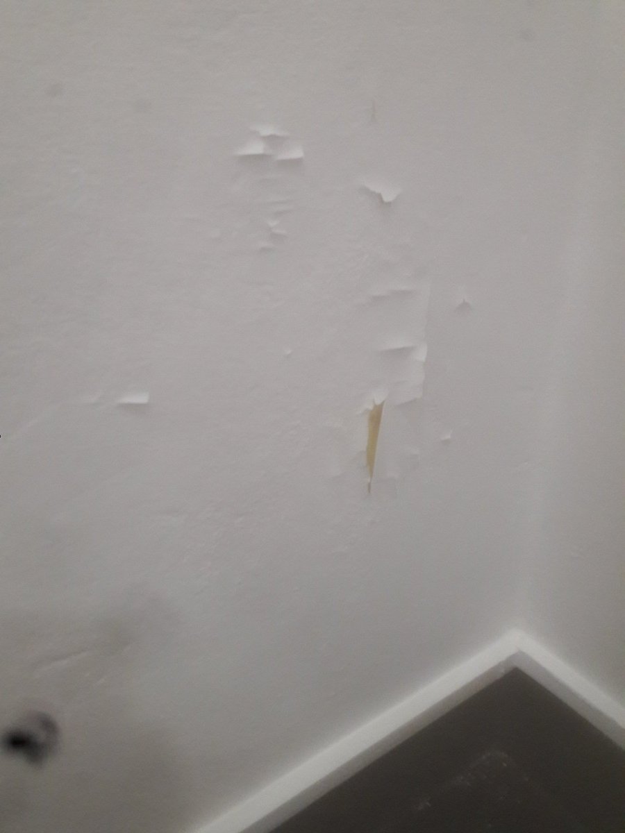 GiveAFigVolunteering (@giveafigv) on Twitter photo 