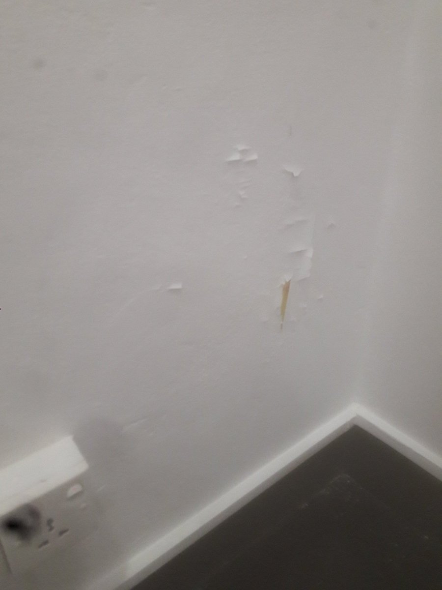 GiveAFigVolunteering (@giveafigv) on Twitter photo 