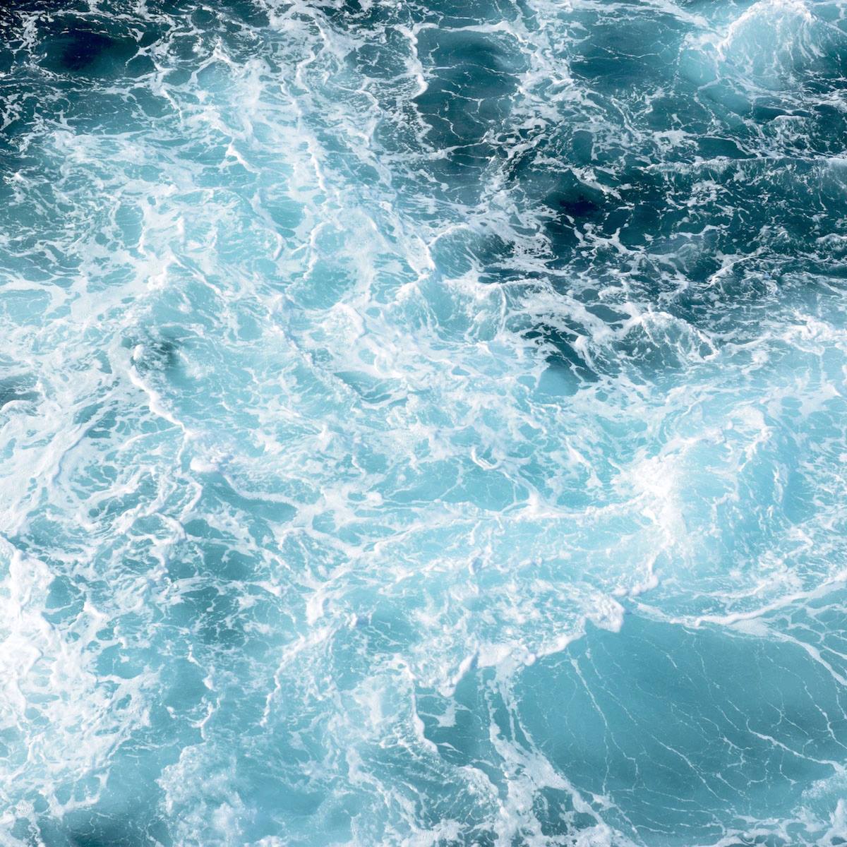 workbookproject's tweet photo. Ride the wave or jump off. Full post // https://t.co/UI8sTG9fJC 🌊 #vulnerability #fullyalive https://t.co/6qkI67K4es