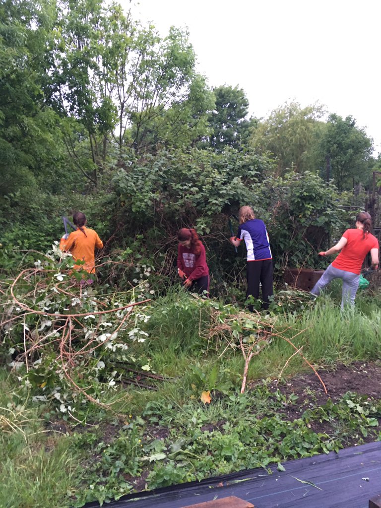WCWCatford's tweet photo. A massive thanks to @gglewisham for #weedslashing #rubbishcollecting #brambleclearing #treechopping #digging #pruning. What a super bunch! https://t.co/kyv7rPiKwu