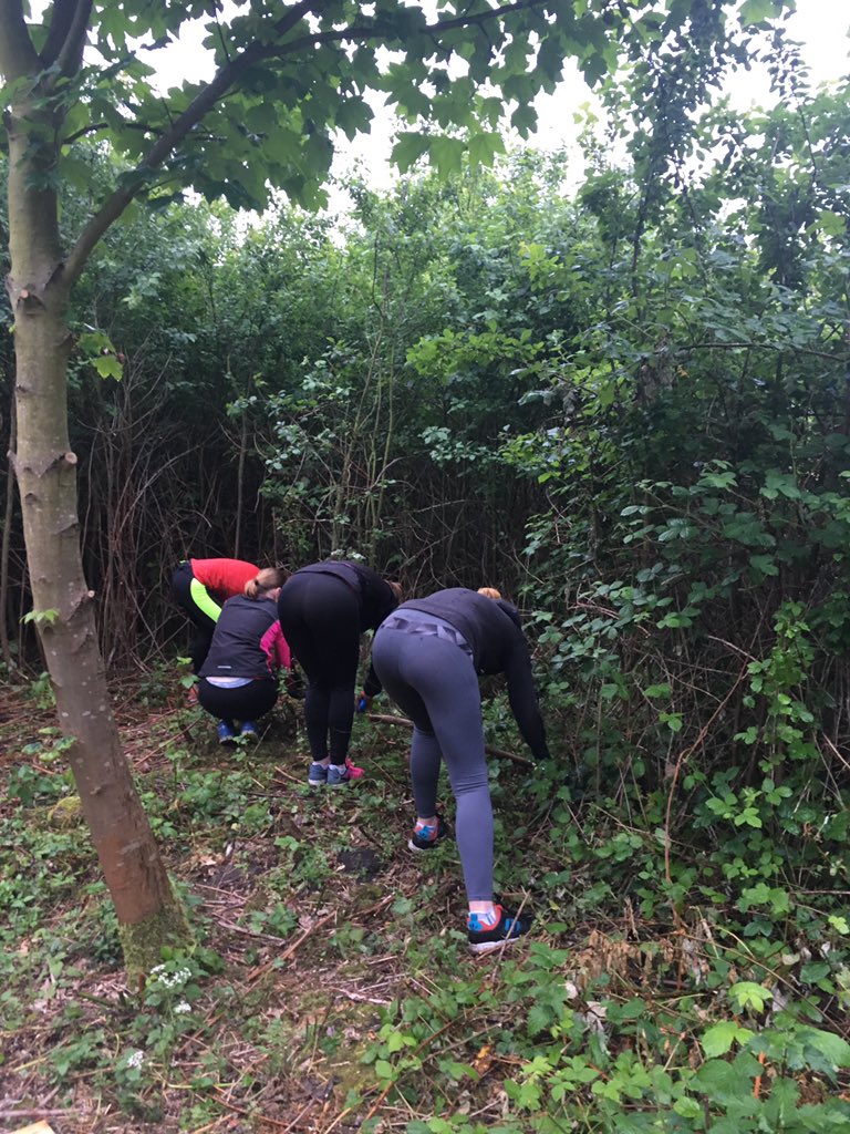 WCWCatford's tweet photo. A massive thanks to @gglewisham for #weedslashing #rubbishcollecting #brambleclearing #treechopping #digging #pruning. What a super bunch! https://t.co/kyv7rPiKwu