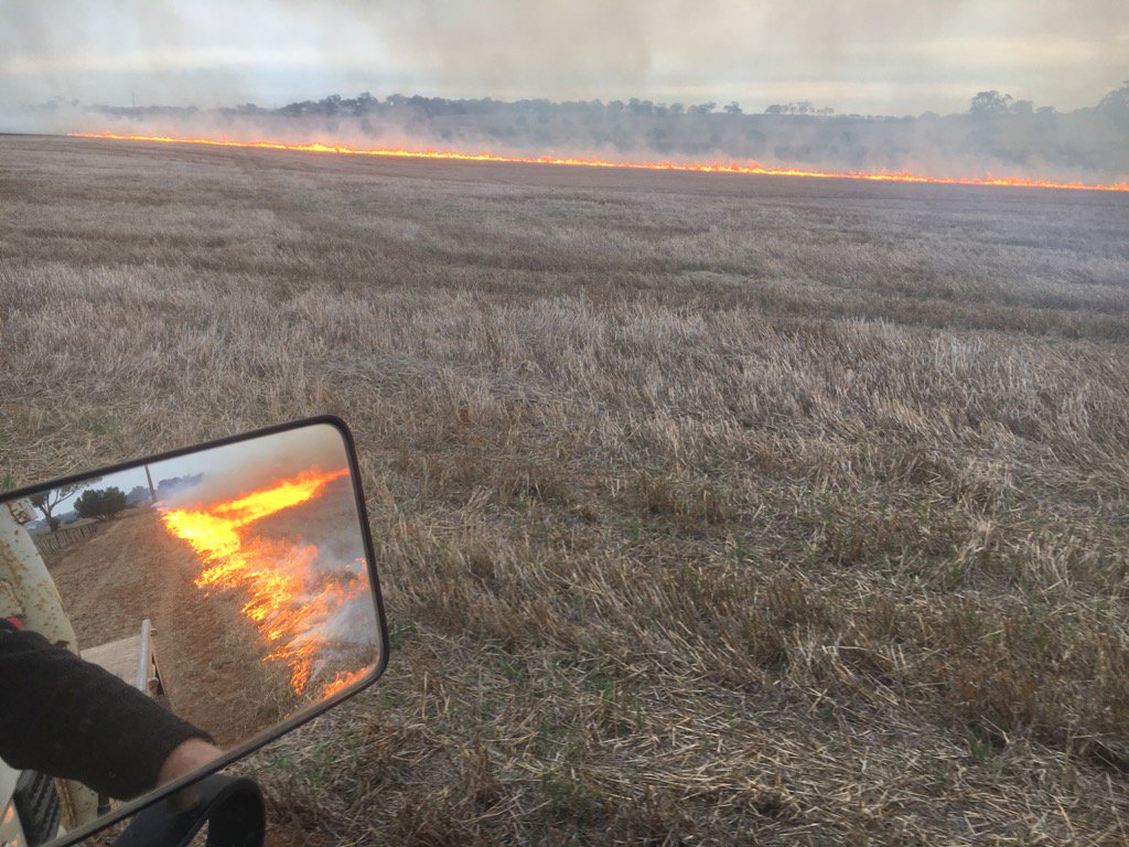 Nice morning for burning , thick barley stubble