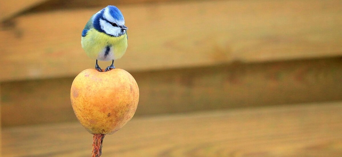 PreferredSM's tweet photo. How Twitter determines the algorithm https://t.co/nbeqYJIxyY  https://t.co/culi7DTJtR #socialmediamarketing #smallbusiness https://t.co/5qvUedgt2l