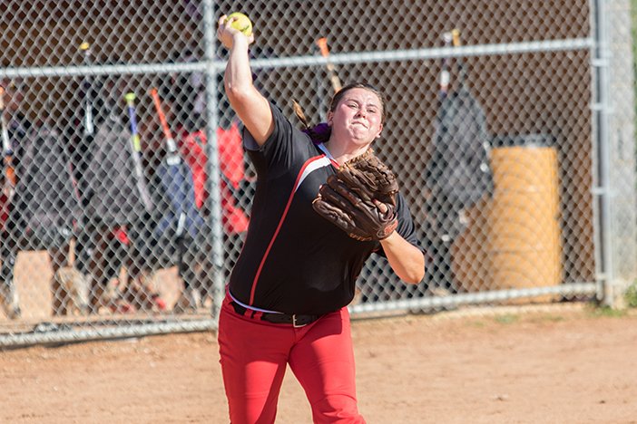 B. Collin Brooks tweet media