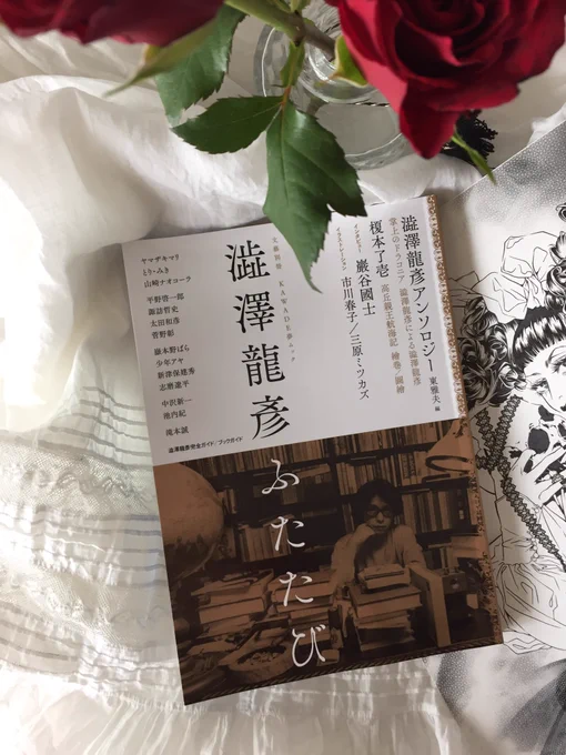 文藝別冊『澁澤龍彦ふたたび』(河出書房新社)5月18日発売にイラストとこの本の中で1番頭が悪そうな文を書かせていただきました!バンギャさん、レイヤーさんに是非読んでいただきたい 