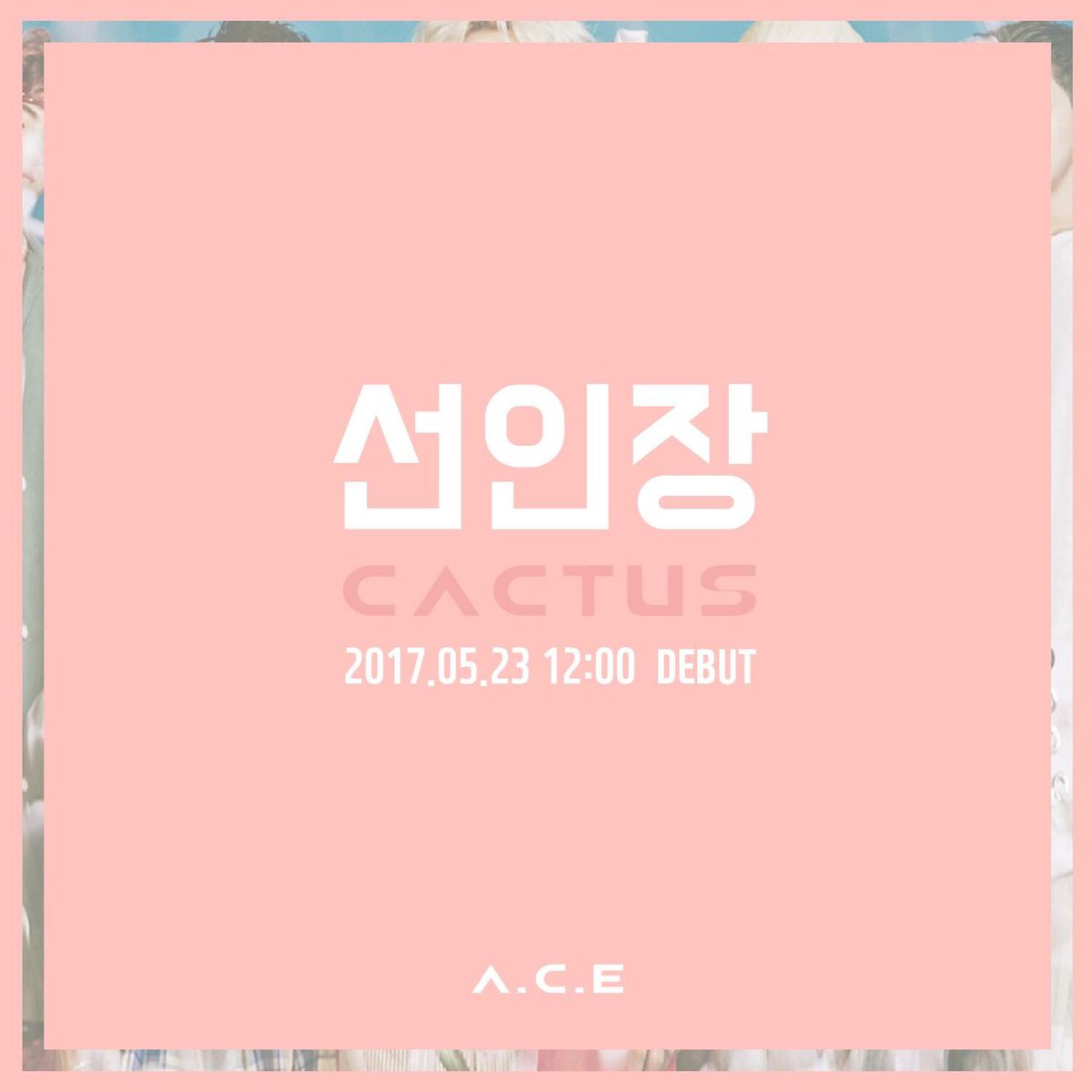 ace cactus album for sale ace cactus album for sale