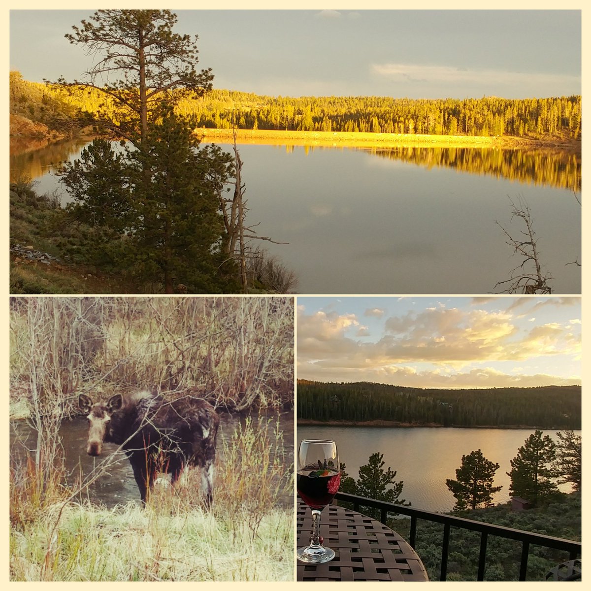 NowataHouse's tweet photo. This place never disappoints. #CrystalLakes #RedFeatherLakes #Colorado https://t.co/j7AccppJZq