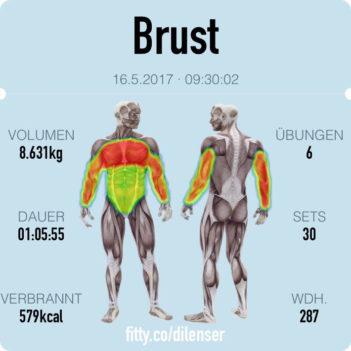 dilenser's tweet photo. Brust & Triceps #gymheroapp #fittyco https://t.co/mDvMREvdwi https://t.co/r7neu8W33n
