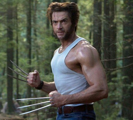 So I buy myself a vest thinking "yep.. Wolverine!"