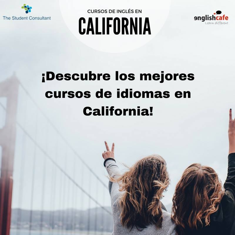 Englishcafe Murcia tweet media