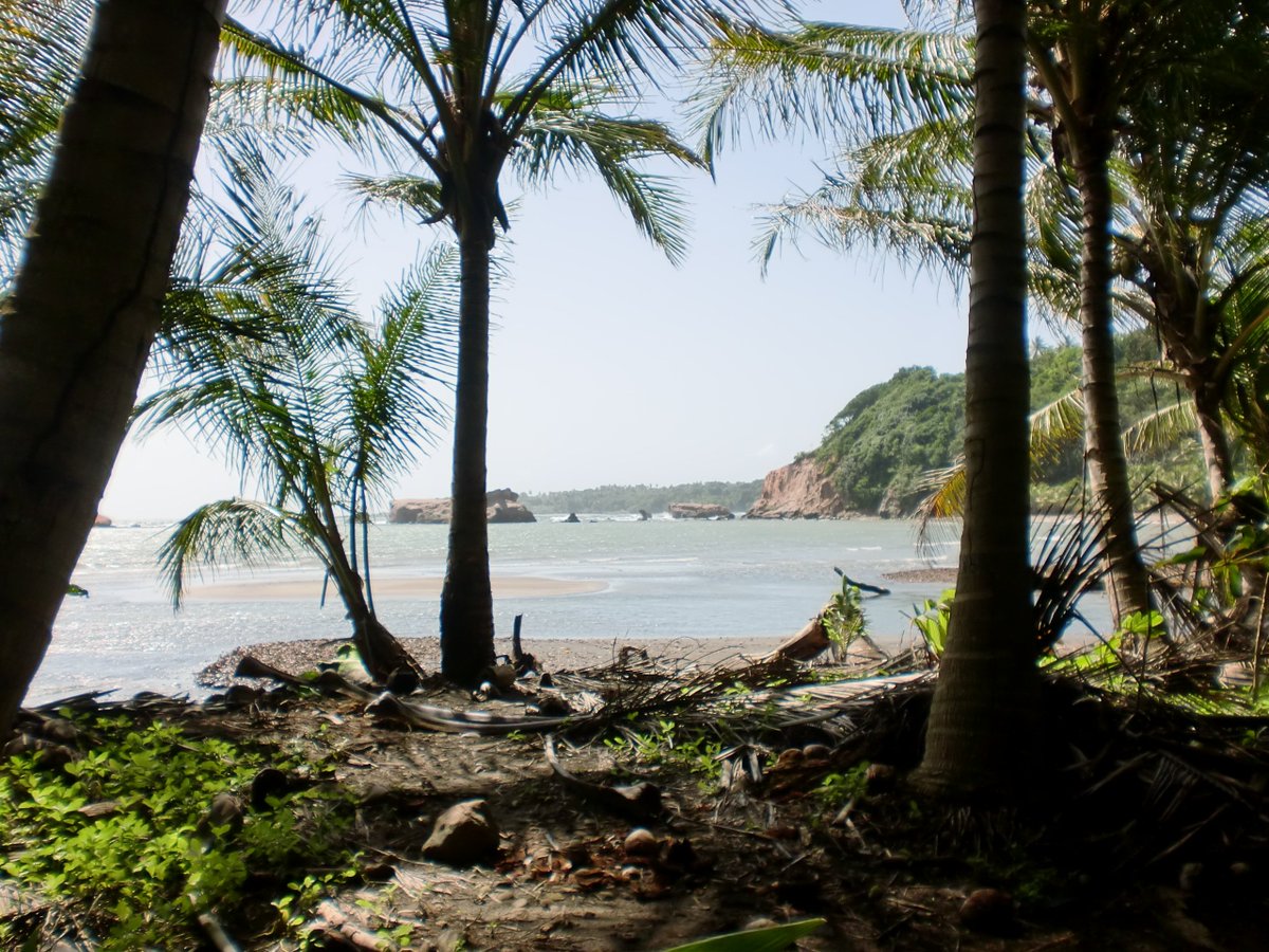debcon359's tweet photo. #embracedominca Hodges Bay in Calibishie my favourite place on the island of #dominica #DominicaTwitter https://t.co/Iex2iTmxvK