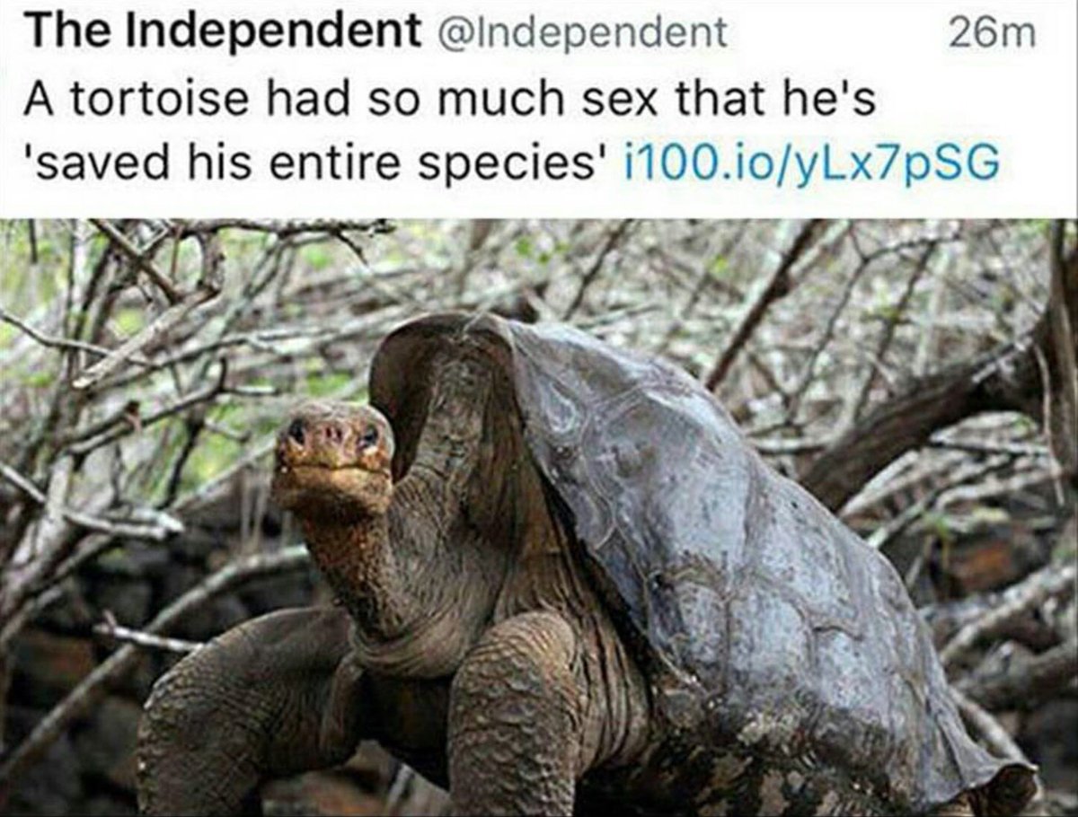 LEGEND
