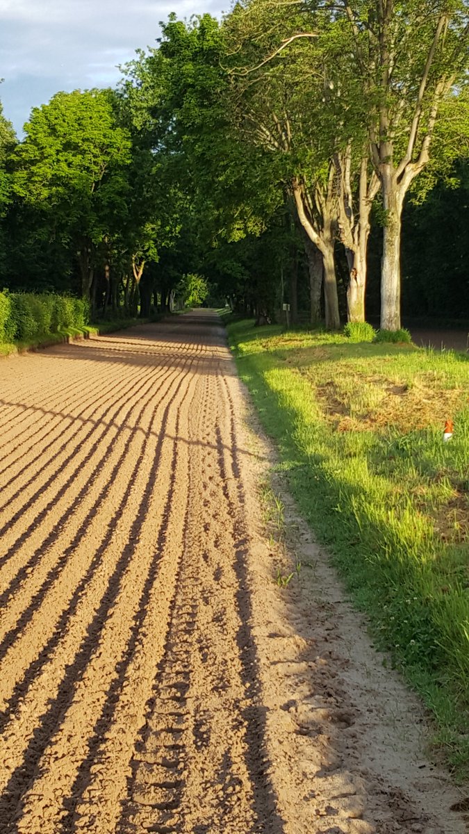CharlyMilpied's tweet photo. Boulots pour le Gd Steeple-Chase de Paris pour les Gallorini. En live de Maisons-Laffitte. #ShannonRock #MonNickson #VanillaCrush Splendide https://t.co/TSTJHXHHIQ
