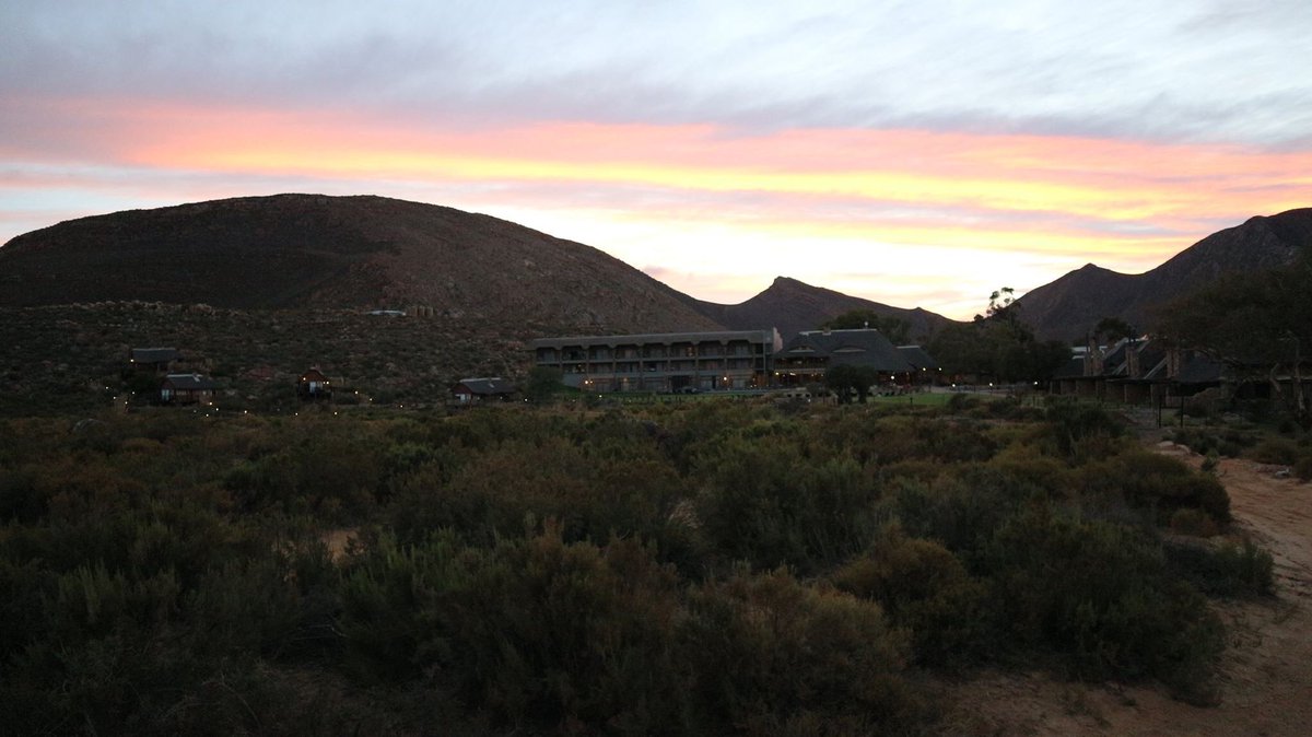 imtithaald's tweet image. Read my #review on @AquilaSafaris 2-hours from #CapeTown to see the #BigFive #Blogger #travelreview