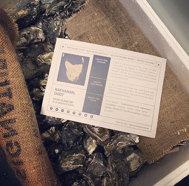 Nathanael Dodt's Blue Moon Pacific Oysters from Tasmania, freshly shucked for you at Blue Tongue Wine Bar in Melb this week 🐚🐚🥂🍾 #MelbEats