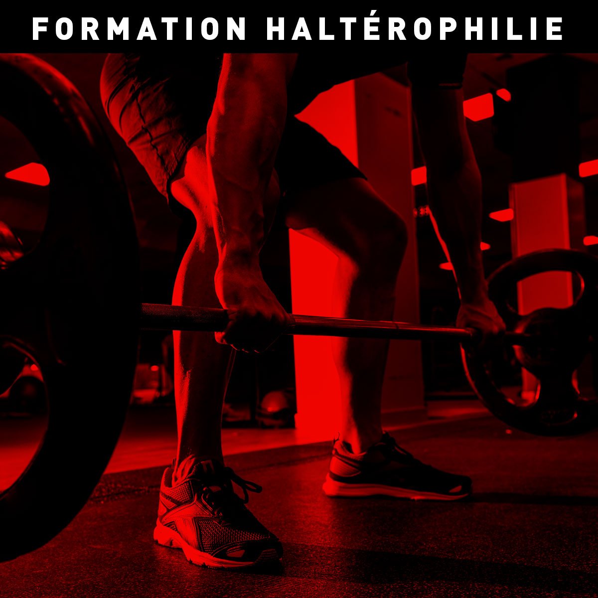 DHarveng's tweet photo. "HALTEROPHILIE AU SERVICE DU SPORT ET DE LA PREPARATION PHYSIQUE"
START TODAY #QualitySportEveryday
Réservation : vincent@start-today.eu https://t.co/77piPfacqs