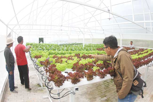 #DanditoNews > Bidik Wisatawan Keluarga, Target Rampung dalam Lima Tahun danditorestaurant.com/bidik-wisatawa…