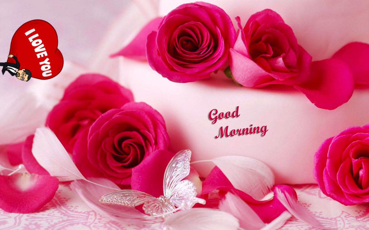 صمت A Twitteren هلا وغلا حبيبي فديتك وانتي اكثر حبيبي كيفك وكيف امورك ربي يسعدك على طيبة قلبك وسوالك دايما سباقه للخير جعلك من اصحاب اليمين ياروحي Https T Co Ujgnwlbf03