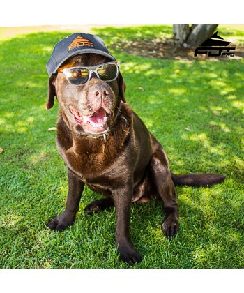 FDT_PRO's tweet image. Nice looking Grey Snapback Cap with Orange FDT Logo - safe twill fabric (100% cotton)
fdt-pro.com/headwear/34-gr…